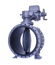 Butterfly Valve